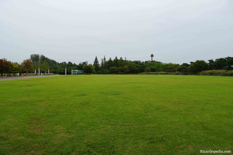 Seoul Korea Park Walk