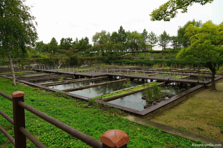 Seoul Korea Park Walk