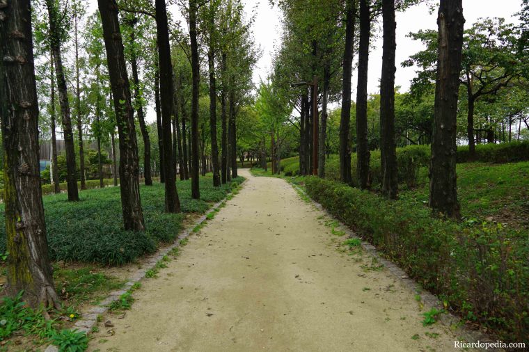 Seoul Korea Park Walk