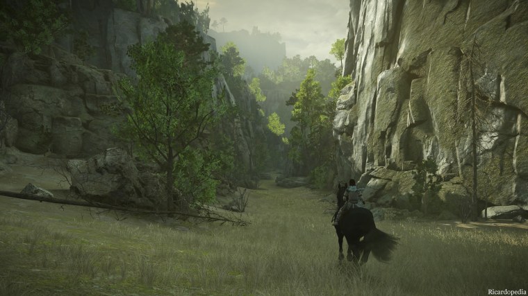 Shadow of the Colossus PS4