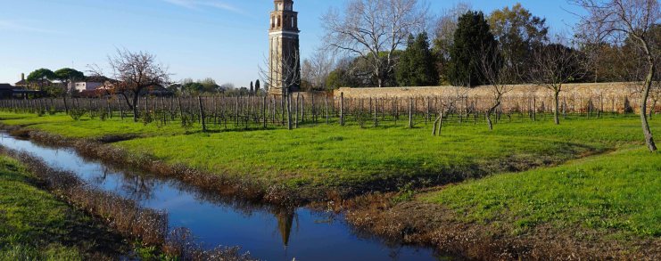 Mazzorbo Island garden