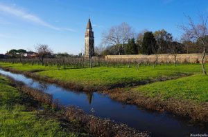 Mazzorbo Island garden