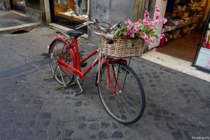 Rome Italy Bicycle Flowers