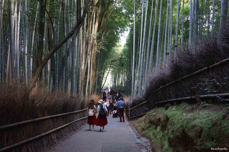 Kyoto Arashiyama