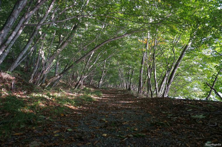 Lake Chuzenji Nikko Japan