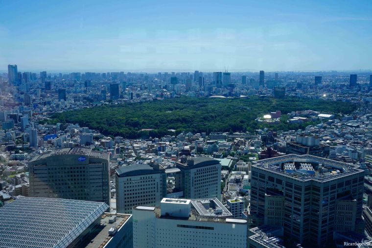 Tokyo Metropolitan Government Building