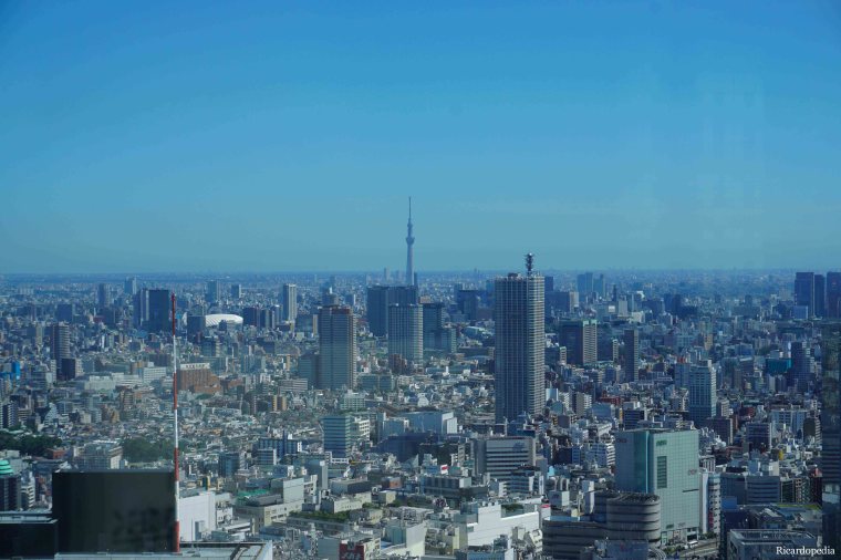 Tokyo Metropolitan Government Building