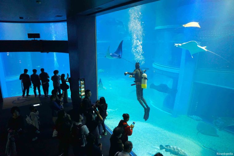 Japan Osaka Aquarium