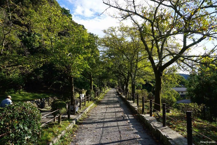 Kyoto Philosopher's Path