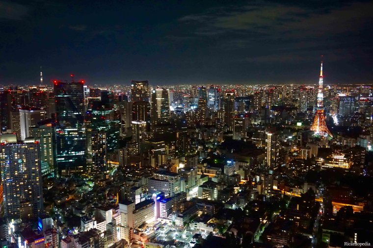 Tokyo Roppongi Hills Night