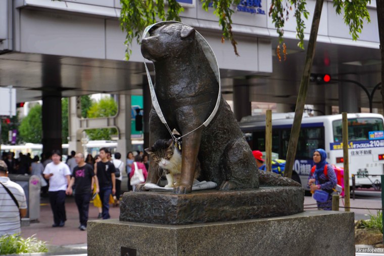 Tokyo Shibuya Hachiko