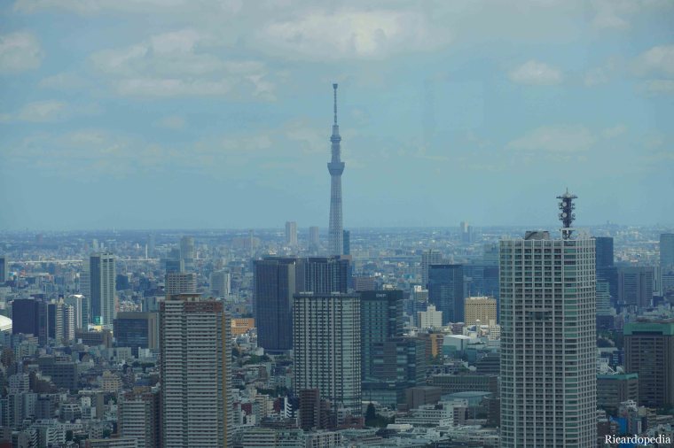 Japan Shinjuku Tokyo Metropolitan Government Building