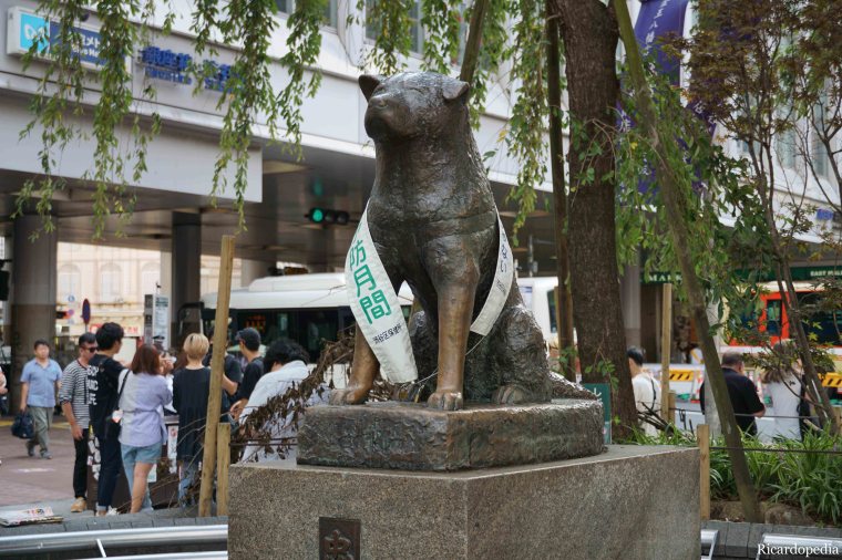 Japan Tokyo Shibuya Hachiko