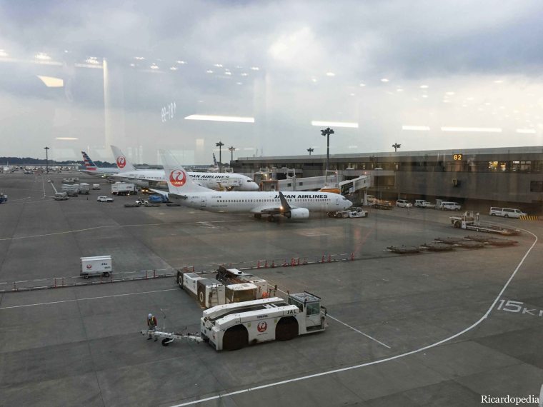 Japan-Korea 2019 Flight to Japan Narita