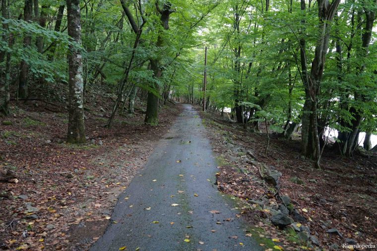 Japan Nikko Lake Chuzenji
