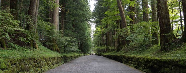 Japan Nikko The Road