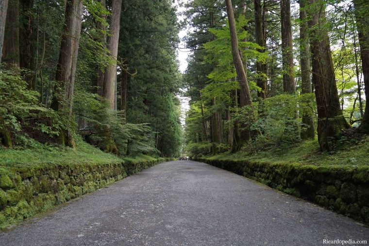 Japan Nikko The Road