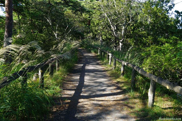 Japan Matsushima Oshima Island