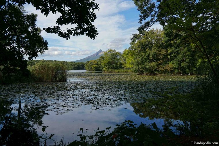 Japan Hokkaido Onuma Park
