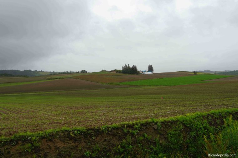 Japan Hokkaido Panorama Road