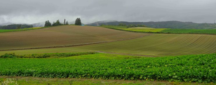 Japan Hokkaido Panorama Road
