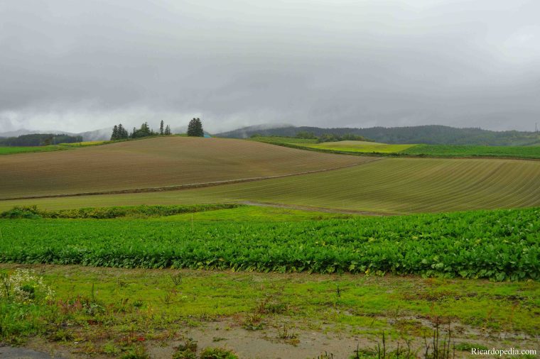 Japan Hokkaido Panorama Road