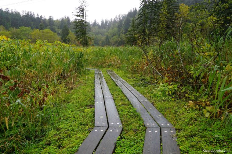 Japan Hokkaido Asahidake