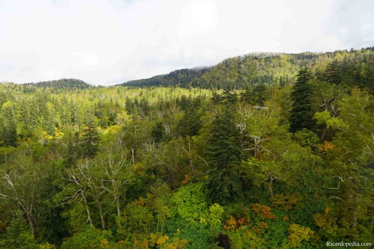 Japan Hokkaido Asahidake Ropeway