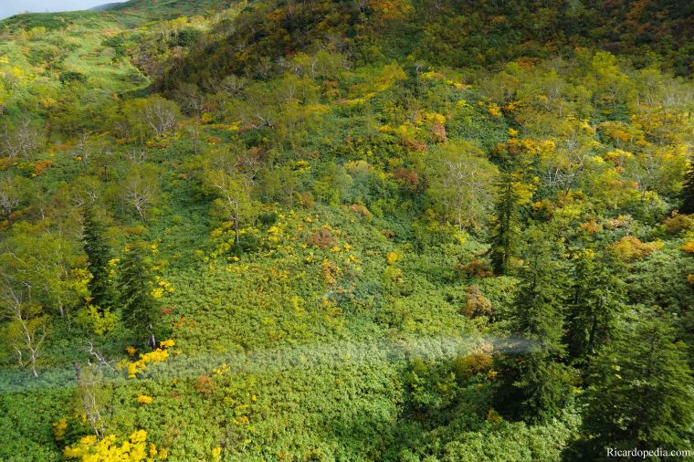 Japan Hokkaido Asahidake Ropeway