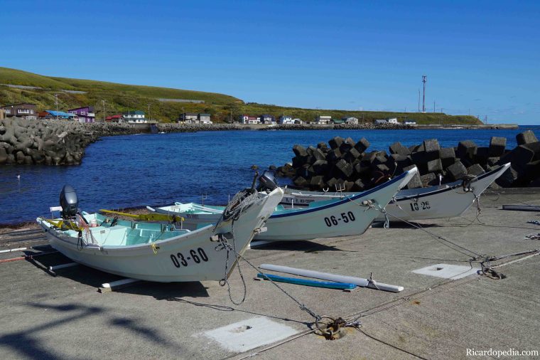 Japan Hokkaido Rebun Island