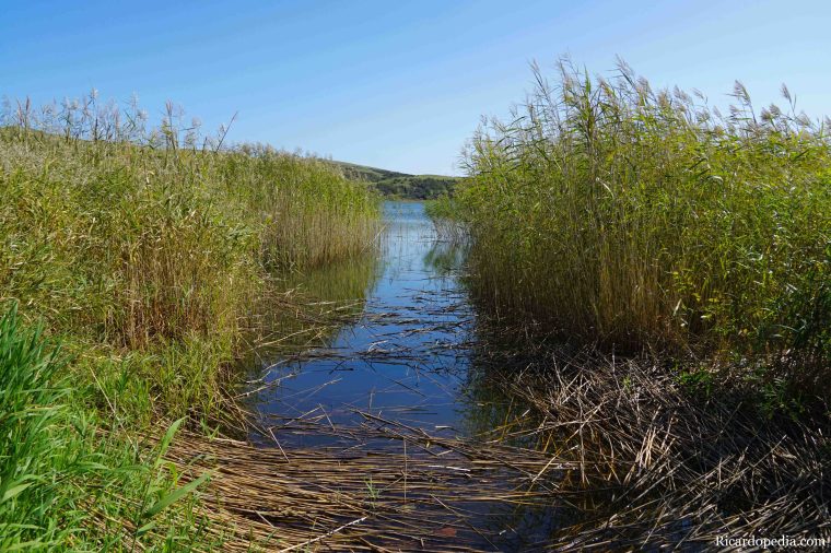 Japan Hokkaido Rebun Island Lake Kushu