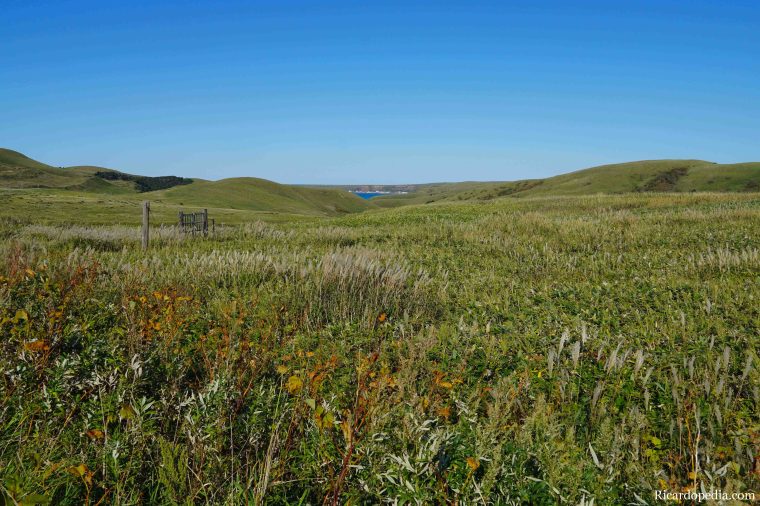 Japan Hokkaido Rebun Island