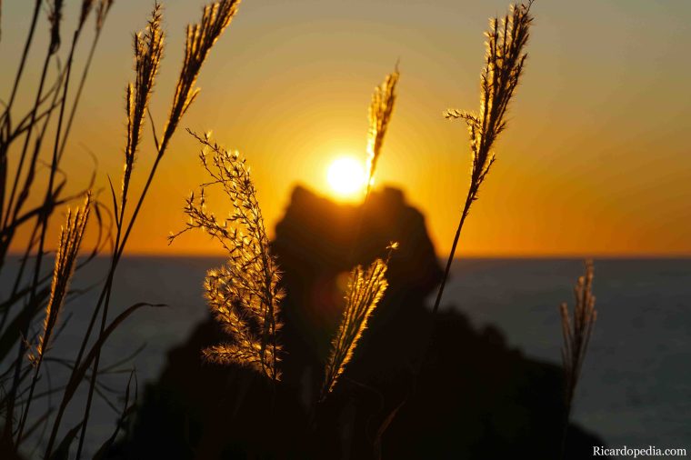 Japan Hokkaido Rebun Island Sunset