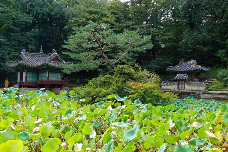 Seoul Korea Changdeokgung Palace