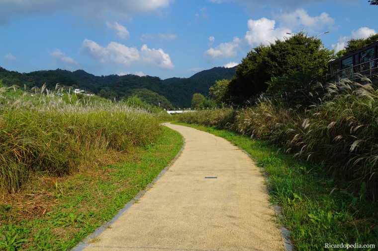 Jeonju Korea Jeonjuchun River