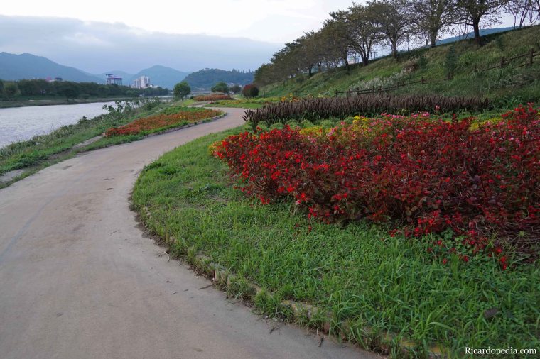 Suncheon Korea Evening Walk