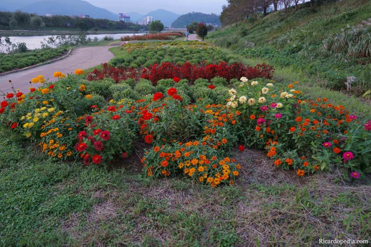 Suncheon Korea Evening Walk