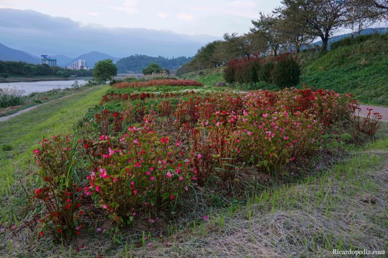 Suncheon Korea Evening Walk