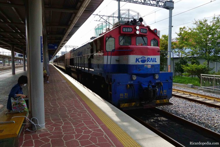 Boseong Korea Tea Plantation