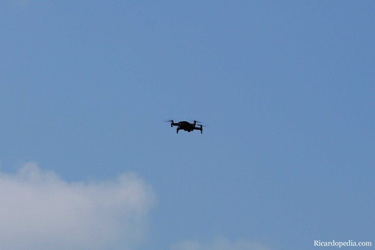 Boseong Korea Tea Plantation