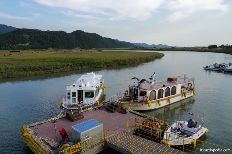 Korea Suncheon Bay Wetlands Reserve