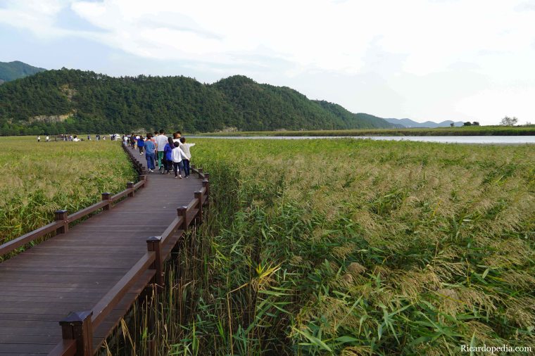 Korea Suncheon Bay Wetlands Reserve