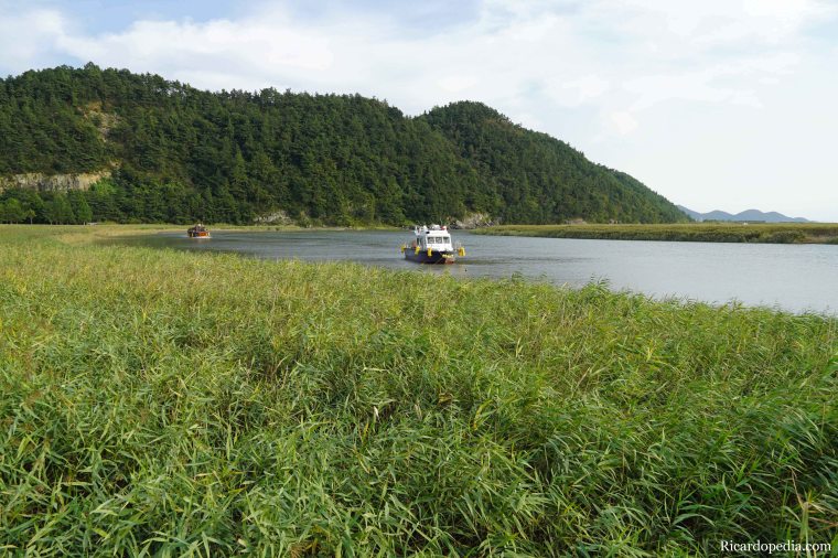 Korea Suncheon Bay Wetlands Reserve