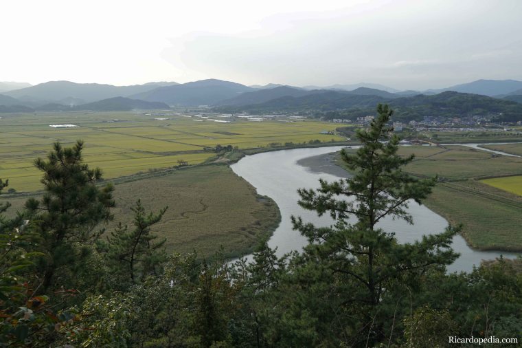 Korea Suncheon Bay Wetlands Reserve