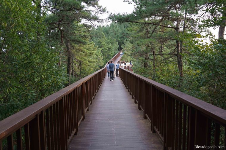 Korea Suncheon Bay Wetlands Reserve