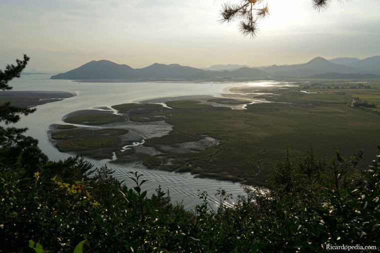 Korea Suncheon Bay Wetlands Reserve