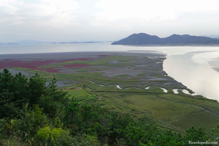Korea Suncheon Bay Wetlands Reserve