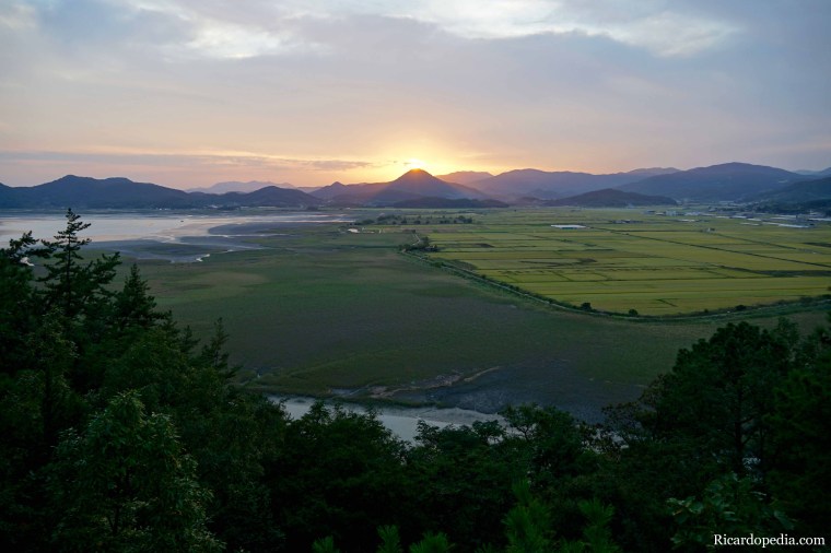 Korea Suncheon Bay Wetlands Reserve
