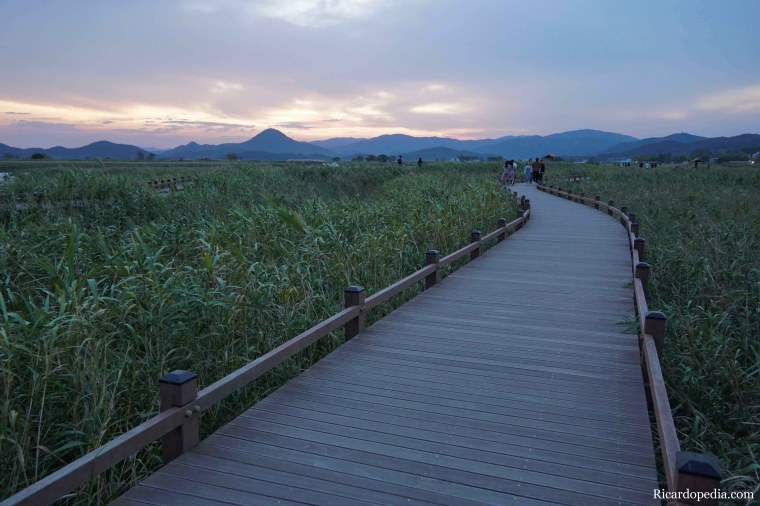 Korea Suncheon Bay Wetlands Reserve
