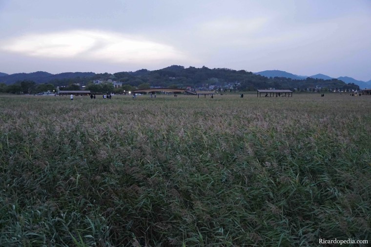 Korea Suncheon Bay Wetlands Reserve